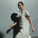 아지컬렉션