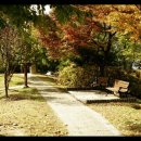 쉼이있는풍경 이미지