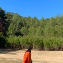 장수뒷고기 - 성주군 성주순환로1길 8 | 장수뒷고기