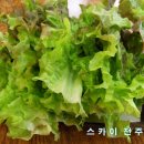 쌈가 이미지