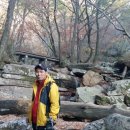 비로산장 이미지