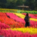 동신미곡처리장 이미지