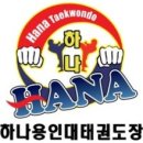 부평하나용인대태권도장 이미지