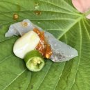 다마시떼 네이버블로그