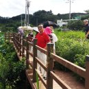 레드피아노 이미지