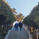 효령대군 이보묘역 | 서초구 방배동 효령대군 묘역 청권사