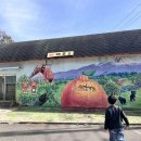 봉농장 | 2월 제주, 최남단체험감귤농장, 다양한 체험 가득❤️ 강추해요(2시간 넘게 놀아요)