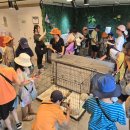 양평단월초등학교 이미지