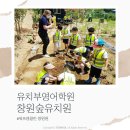 창원숲유치원 이미지