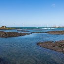 신창 그리고 제주 이미지