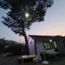 추노생고기 이미지