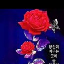 ♡5월3일 금요일 카톡인사! 이미지