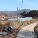 김종문농장 이미지