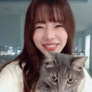 써니 - 26994 | 써니