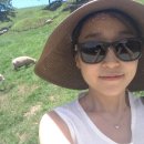 홍원목장 이미지