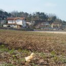 석원농장 이미지