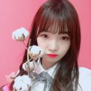 약속회 Daum카페