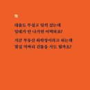 진영빌딩 이미지