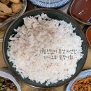 자연산회통영붕장어 이미지
