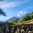 반월펜션 | 봉강계곡 반월산장펜션 방문 후기 - 수심 2m 계곡