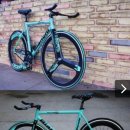 퍼피스타 이미지