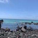 곽지하우스 민박 이미지