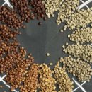 한국커피협회 바리스타 2급 자격증 취득과정 이미지