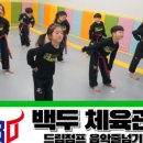 도약합기도 이미지