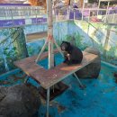 쥬쥬랜드 이미지