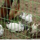 옥계중학교 이미지