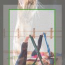 자세 개선 팔라테스 이미지