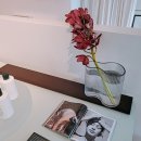 플라워 쇼룸 이미지