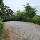 홍북농협주유소 이미지