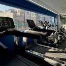 바루어 짐 이미지