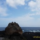 신암목장 이미지