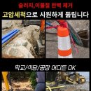 가인인력