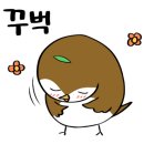 주인완도너츠