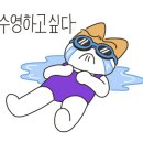 성성파인트리 수영장 이미지