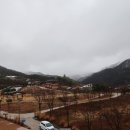 별담다카페