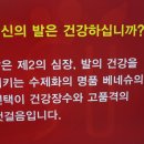H.베네슈