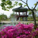 강원도립화목원 이미지