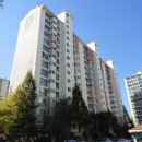 늘푸른1길 이미지