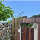 무주포레스트 이미지