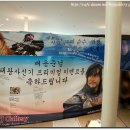 와이제이비