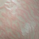 스킨52부천지부 이미지