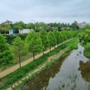 여월체육공원 이미지