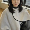 데일리수 네이버블로그