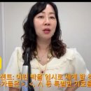 에어로폰 이미지