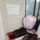 신흥동 행정복지센터 | 부천 삼정동 맛집 이가네부뚜막 삼정동 고기집