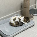 에스메디컬 이미지